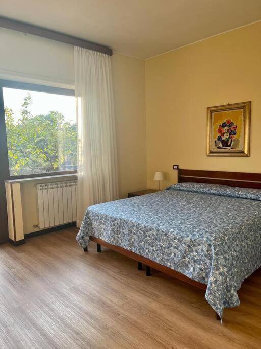 Appartement Green & Relax Near S.peter *